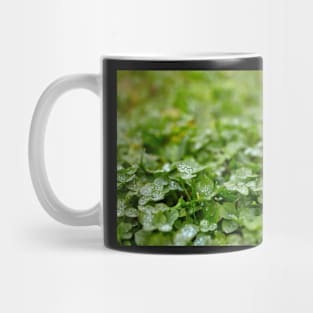 Clover field Mug